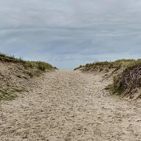 Dunepanne 0602 With Frontal Sea View Nieuwpoort